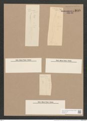 Pleurosigma fasciola (Ehr.) W.Sm. (de-Toni-Nr.: Genus 13, Species 1089) Zeichnungen Sammlung Grunow Nr. 2115 (NHMW-BOT-W0369147)